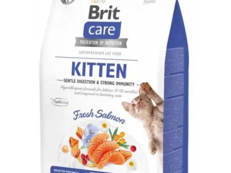 Brit Care sem Grão para Gatinhos - Digestão Suave e Imunidade Forte - Salmão Online