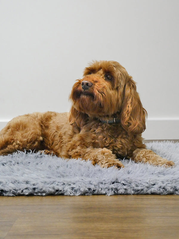 40 Winks Silver Fluff Blanket For Sale