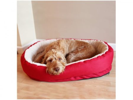 40 Winks Red Orthopaedic Bed Discount