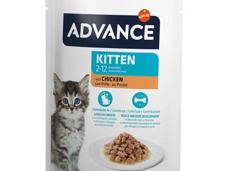 Advance Ração Húmida para Gatinhos - saquetas - Frango For Cheap