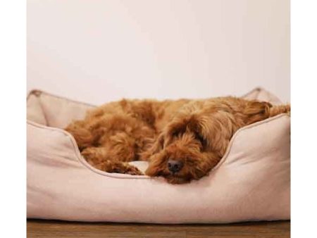 40 Winks Thin Twill Beige Dog Bed Hot on Sale