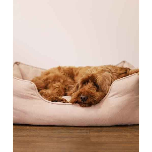 40 Winks Thin Twill Beige Dog Bed Hot on Sale