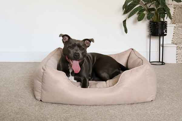 40 Winks Thin Twill Beige Dog Bed Hot on Sale