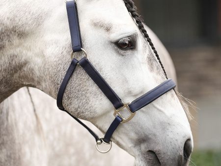 EQUILIBRIUM STELLAR HEADCOLLAR NAVY LARGE Hot on Sale