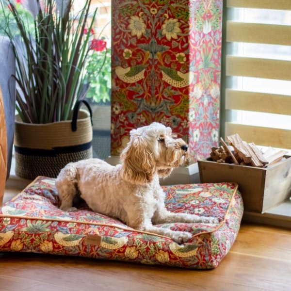 William Morris Pet Mattress Strawberry Thief Print Online