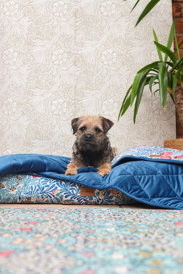 William Morris Pet Blanket Bower Print on Sale