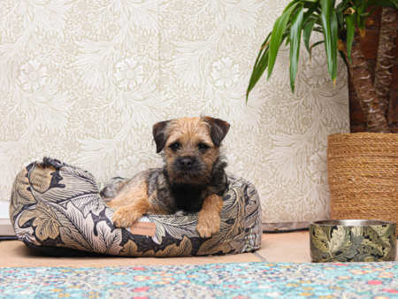 William Morris Square Dog Bed Acanthus Print Online