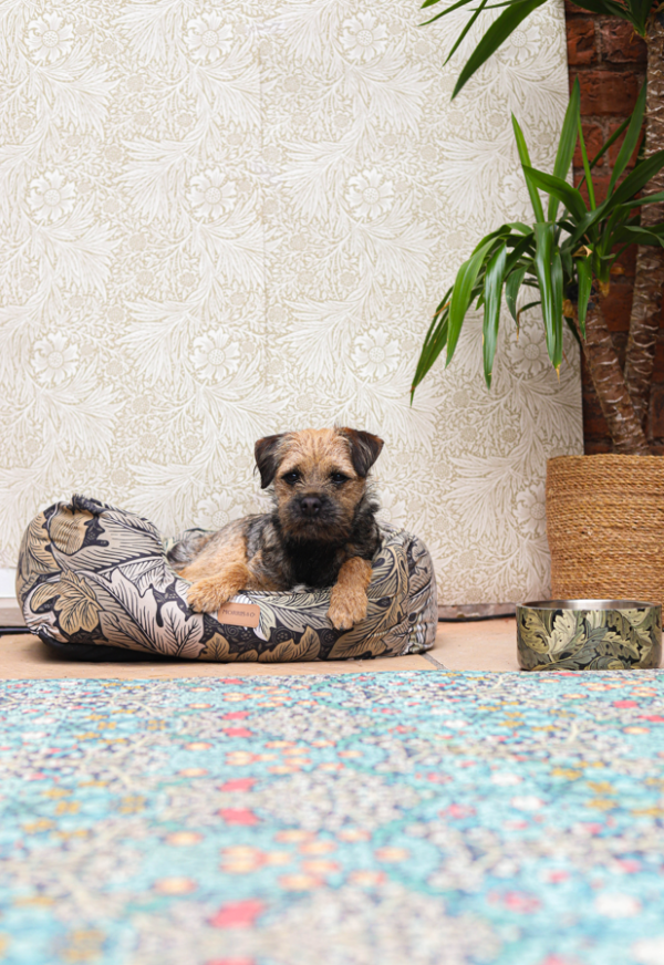 William Morris Square Dog Bed Acanthus Print Online