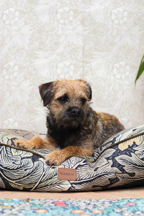 William Morris Square Dog Bed Acanthus Print Online