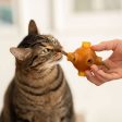 Snack Dentário de Salmão para Gatos on Sale